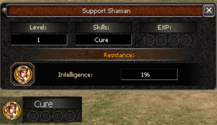 Support Shaman System